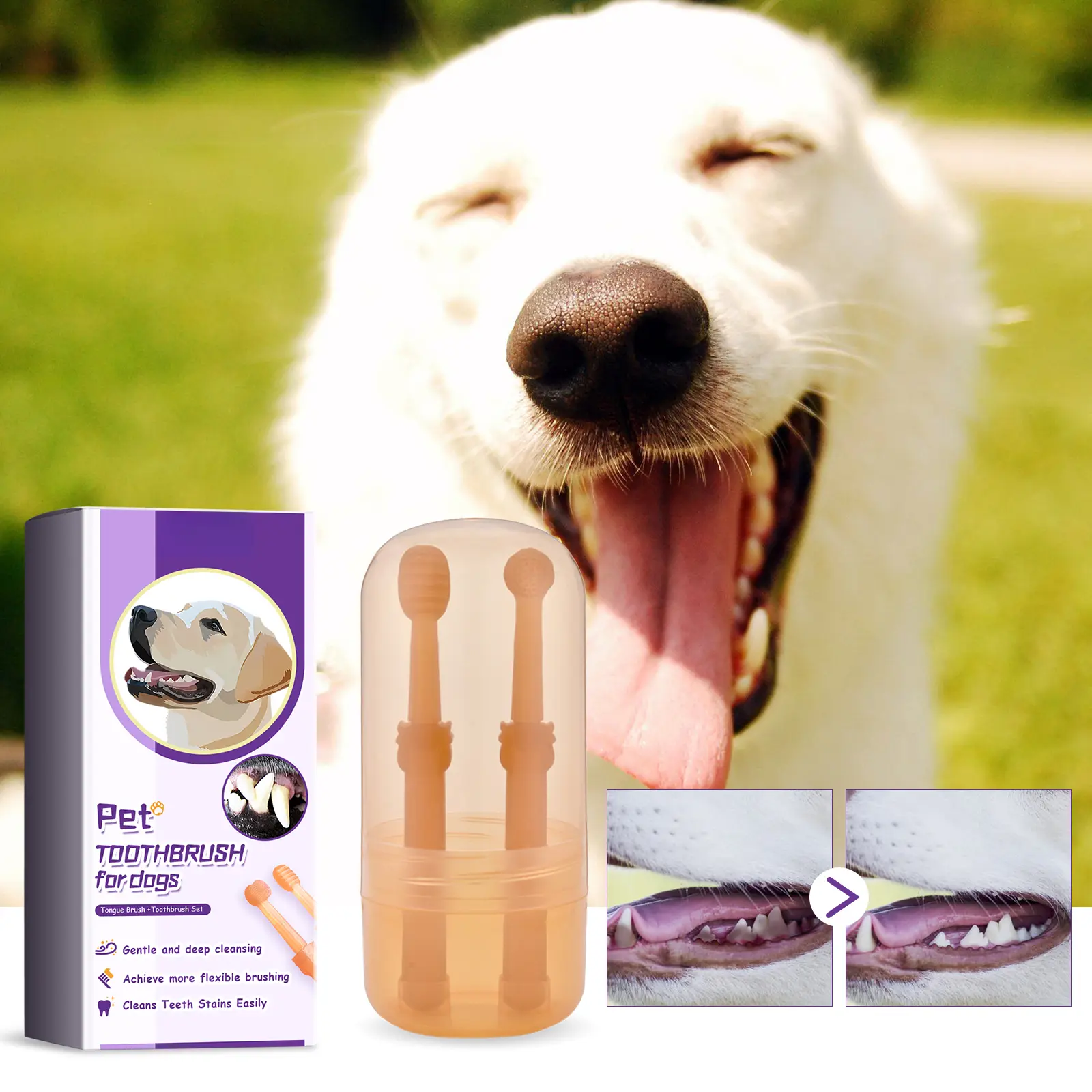 Dog & Cat Oral Care Set - Soft Silicone Small-Head Toothbrushes, Tongue Scraper, Dense Bristles for Deep Cleaning, Ergonomic Portable Design, Easy Carrying Portable Tube, Comfortable Grip for Daily Hygiene, Fresh Breath, Dual-Action Oral Care