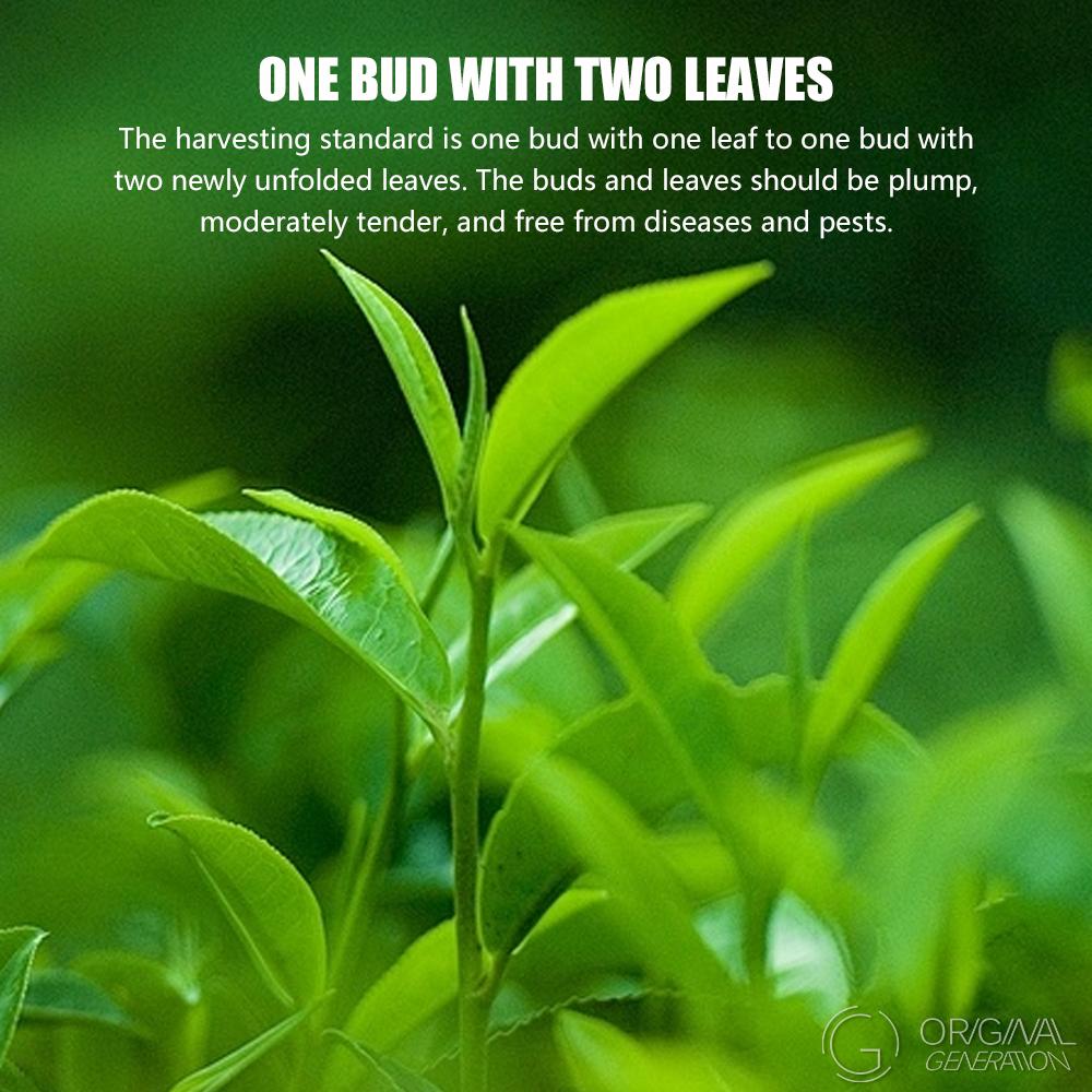 Cold Brew Gold Oolong Tea 40g(4g×10packs) Low Caffeine Release