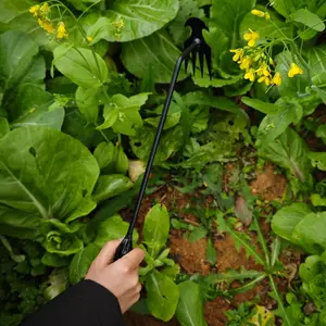 review image 5