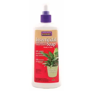 Bonide Products Inc P-Insecticidal Soap Insct Spray 12 Ounce