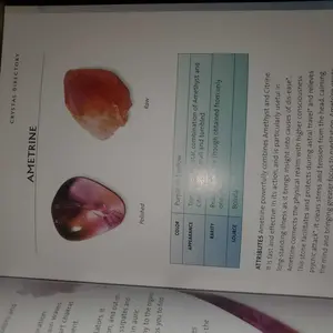 The Crystal Bible: A Definitive Guide to Crystals -- Judy Hall - Paperback