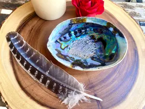 Abalone Shell (for Smudging)