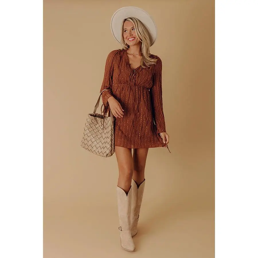 Darling Detail Embroidered Mini Dress in Chocolate