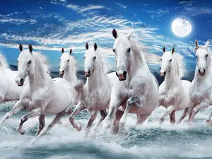 Seven Running Horses Canvas Premium Poly Cotton Blend 407 gsm 18 mil FSC Certified Water Resistant Anti Yellowing Ready to Hang Professional Matte Finish UL Certified GREENGUARD GOLD Ink