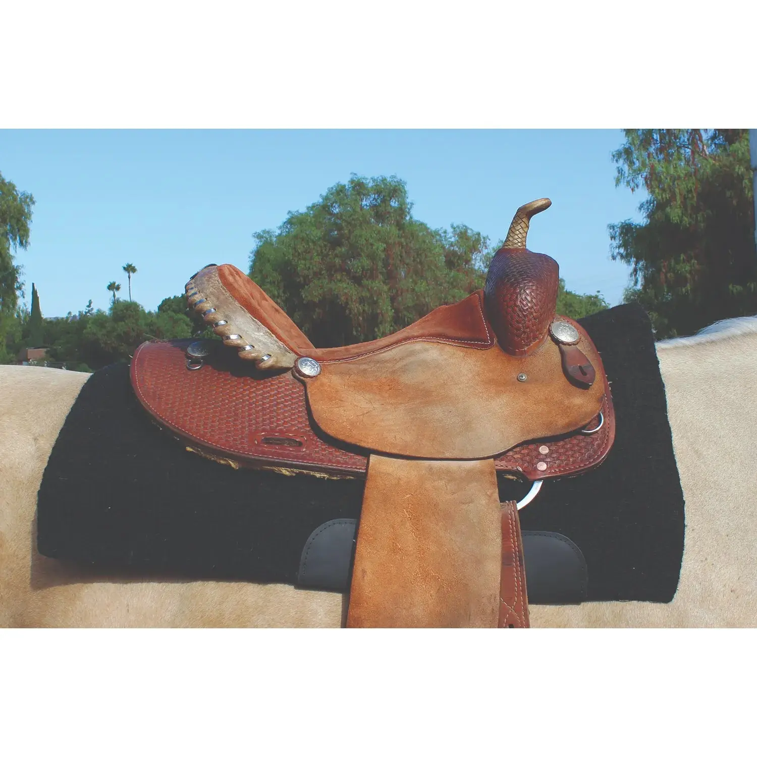Professional's Choice SMx Air Ride Saddle Pad CXHDB-33BLA - Contoured Shock Absorbing & Breathable - Multiple Sizes 33" x 38" / Black