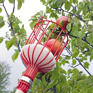 1pc Single Fruit Picker Tool, Convenient Fruit Harvesting Device Without Extensible Pole, Ideal for Easy Fruit Picking