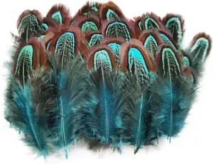 50 Pcs Natural Pheasant Plumage Feathers 2-3 Inches Plumage Feathers Sewing Crafts   No brand