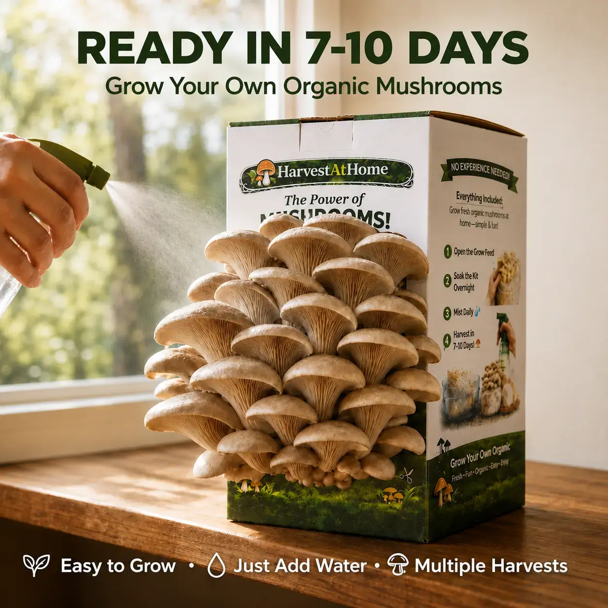 Organic Oyster Mushroom Grow Kit 3.5 lb | 1-7 Days Harvest | Easy to Grow Indoor | No Soil/Sun Required, Multiple Harvests | USDA Organic | Non-GMO | Made in USA | Perfect for Home Kitchen & Gardening Enthusiasts Gift for Adults & Kids