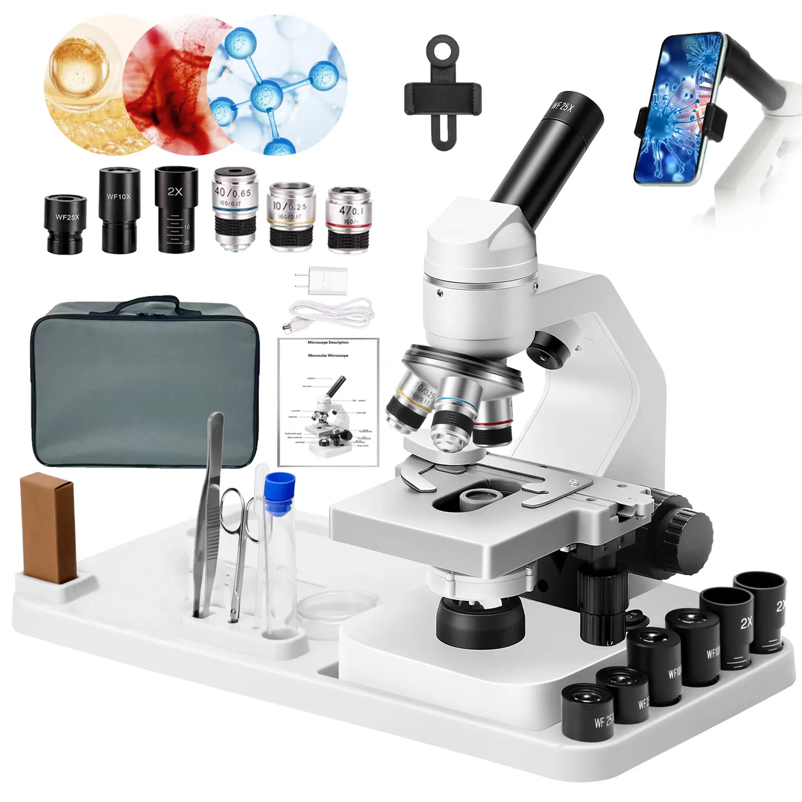 Multifunction Research-Class Professional Compound Microscope, 40x-2000x Magnification, WF10x & WF25x Eyepieces, Dual LED Lighting, 2-Layer Mechanical Stage for Adults (Office, School Supplies), Bacteria