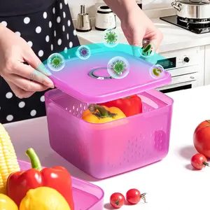 Anjuke Lidded Refrigerator Fruit Storage Containers BPA-free Produce Salad Preservation Boxes  Date Markers Removable Filters Dishwasher Microwave Safe Multi-size Design for Meal Prep Lettuce Preservation pantry travel outdoor picnic kitchen   Fridge