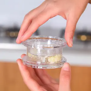 1pc Garlic Press, Kitchen Grinding Mill, Ginger Garlic Crusher, Multifunction Garlic Press, Garlic Peeler, Kitchen Accessories, Kitchen Utensils, Kitchen Gadgets, Kitchenware, Kitchen Cooking Accessories, Random Color