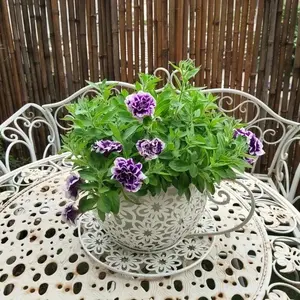 Iron Coffee Cup Planter, American Country Style, Lightweight Irregular Shape, New Trend for Balcony Garden Decor, Unique Outdoor Accessory