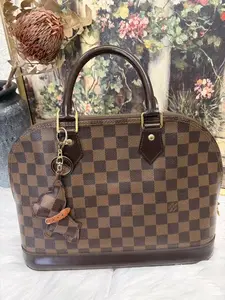 Pre-owned Louis Vuitton LouisVuitton bag