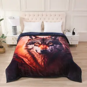 3-Ply Printed Fleece Blanket Plush Raschel Blanket Silky Soft-8.6 Ib King Size Ultra Soft Crystal Velvet Texture Embossed Rose Design Blocks of Colors Background