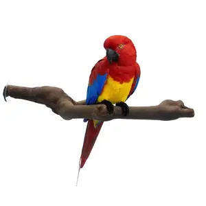 Natural Y-shaped grapevine bird perch（Each one is natural and unique） - Parrot and bird roosting and claw-sharpening stand with branched grapevine wood perch toy