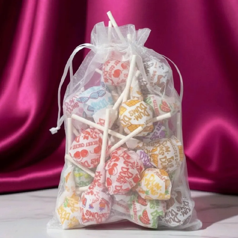 Mini Bag of Dum Dum Lollipops Assorted Flavors Sweet Treat Pack for Kids and Adults
