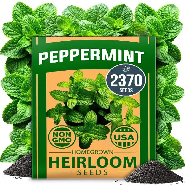 20 gallon planter pots 5 Pack 20 Gallons Grow Bags Healthy Smart Gardening Pots – FiveSeasonStuff