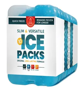 Healthy Packers Slim Long Lasting Ice Packs 10 Pack Quick Freeze BPA Free Non Toxic for Coolers Lunch Boxes 7x4.7x0.5 Inches