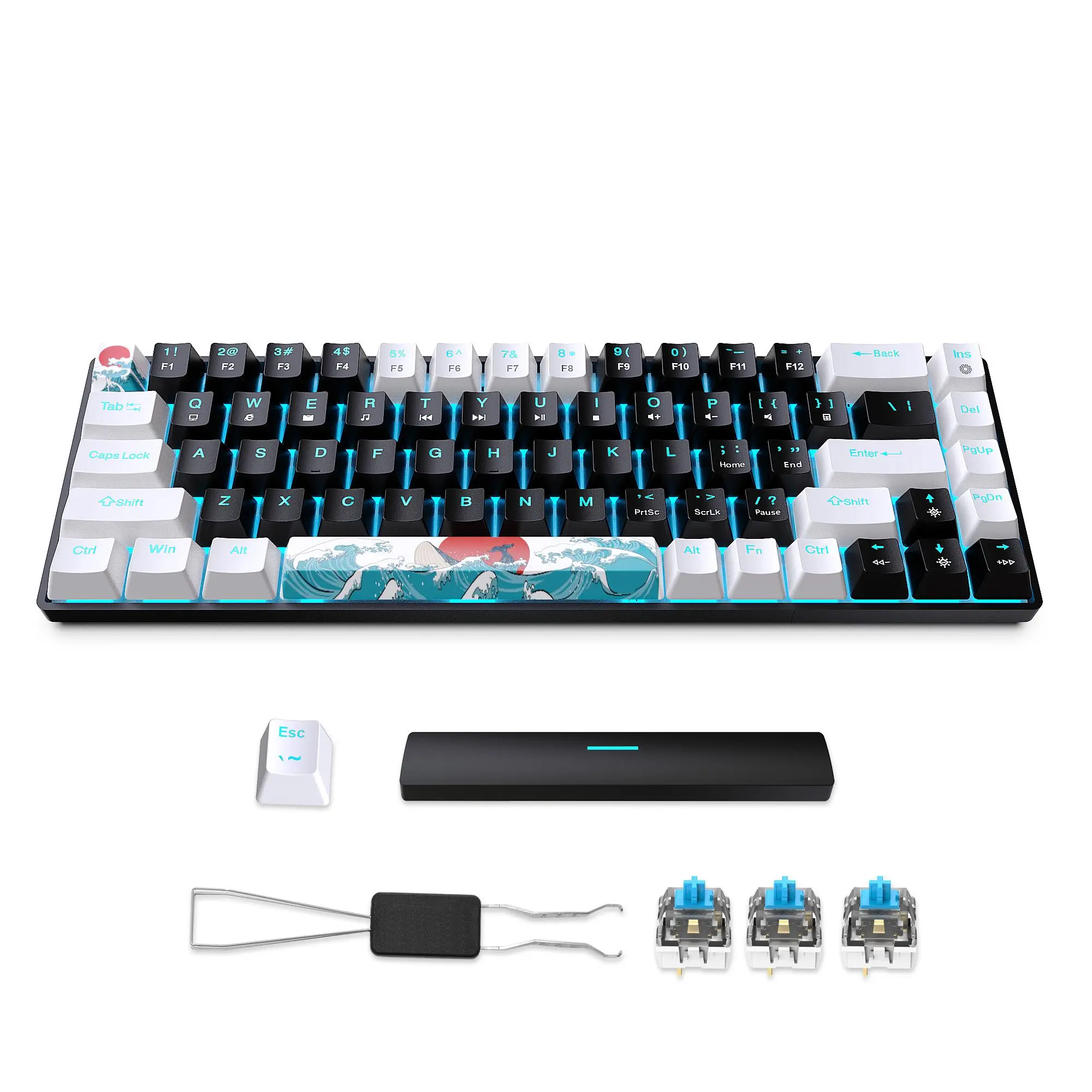 HXSJ 68-key Mechanical Tactile Feedback Keyboard, Wired Gaming Mechanical Backlit Keyboard with Blue Switch, Detachable USB-C Cable Keyboard with Backlight for Windows MAC PC Laptop, PC Gaming Keyboards