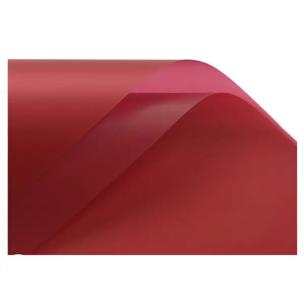 Burgundy Transparent Minimalist Bouquet Wrapping Paper
