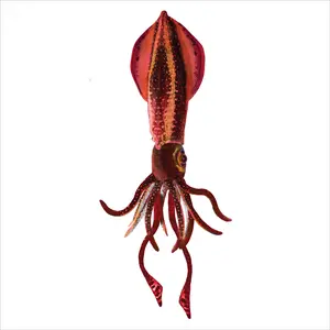 Real Planet™ Red Squid Realistic Plush Stuffed Animal