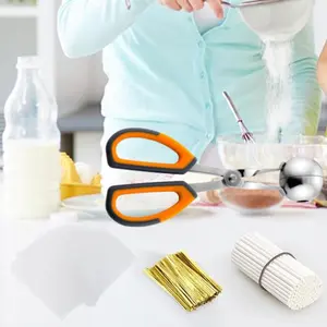Cake Pop Treat Bag Kit, Including 100Pcs Pop Sticks, 100Pcs Parcel Bags, 100 Twist Ties and 1 cake Pop Mold, Cake Pop Maker Tools for Lollipops, Candies, Chocolates, Cookies