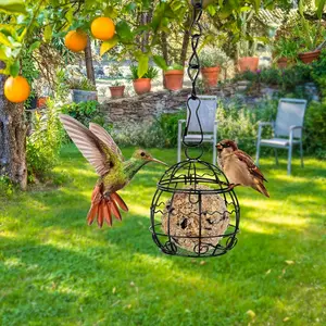 Hanging Bird Feeder Station, Wild Bird Feeding Stand, Hummingbird Feeder, Hanging Outdoor Feeder, Perfect for Hanging Wild Birds, Balcony or Bird Cage, No Ca Prop 65 Warning