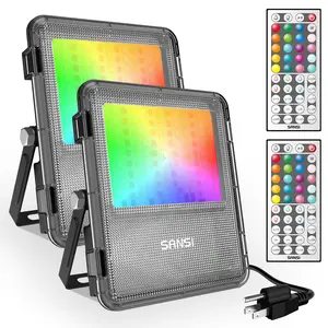 SANSI RGBW LED Outdoor Waterproof Permanent Lights, 80~160W Color Changing Lights with Remote, Perfect for Valentine's Day Decor, Parties, Stages & Landscape, Energy Efficient, IP66 Waterproof, 2-Pack Landscape Light luces de colores Lighting Decorative