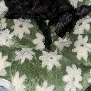 Lesure Waterproof Pet Blanket for Dogs & Cats - Cozy Winter Dual-Sided Jacquard Shag & Sherpa Fleece Blanket For Pets And Humans, 3D Textured Cloud Pattern, Machine Washable, Durable & Portable, Soft Couch Protector, Versatile Pet Blanket