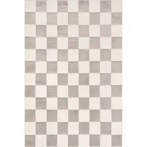 Zhuri Checkered Machine Washable Area Rug