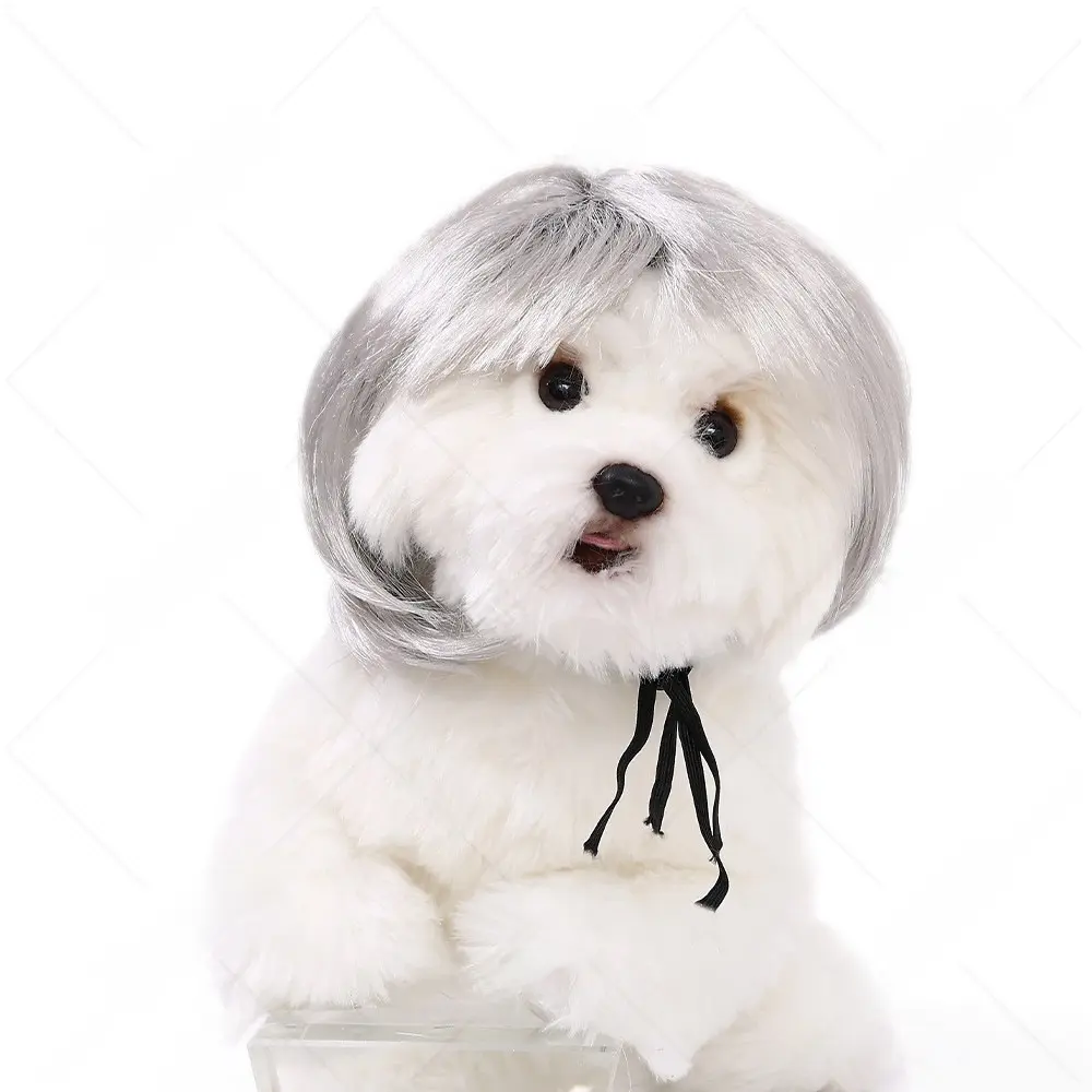 Dog Wig with Bangs Bob Haircut Silver
