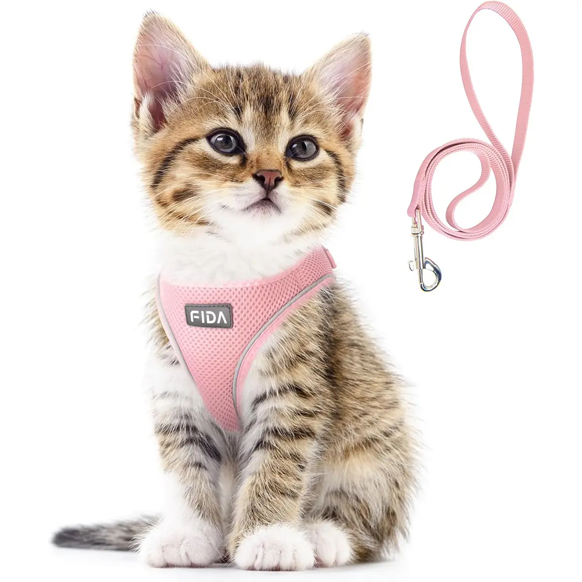 Fida Customized Cat Walking Safety Harness & Leash Set - Escape-Proof Soft Mesh Vest, Adjustable Breathable Reflective Strip Step-In Design for Daily Use (M: Neck Girth 14.6in~16in, Chest Girth 18.9in~20.5in) | Pet Safety Harnesses & Leads, Reflective Str