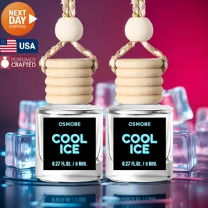 Black Cool Ice Long-Lasting Car Air Freshener