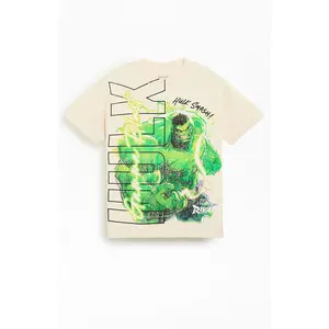 PacSun Men's Marvel Rivals Hulk T-Shirt - Multicolor