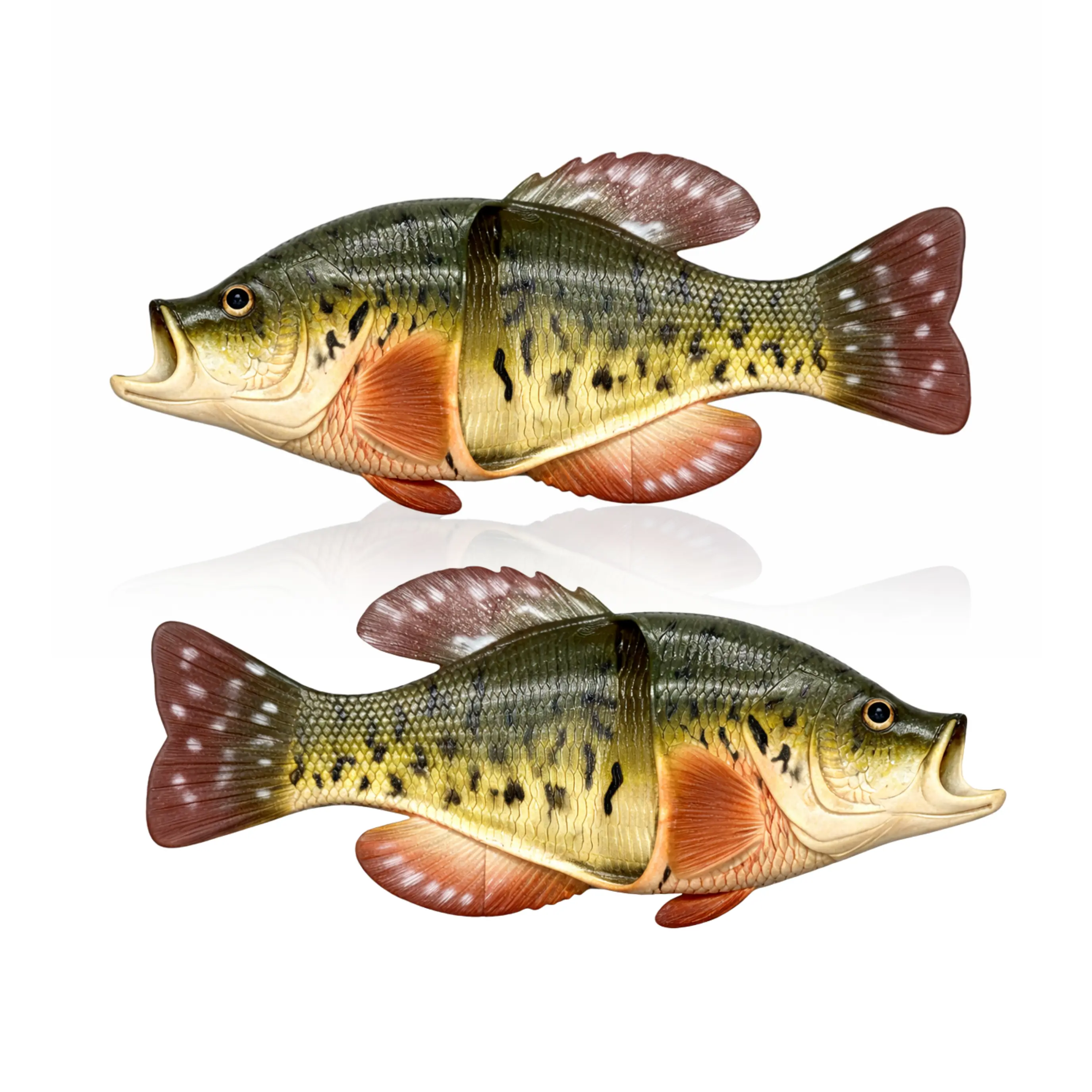 Fish Sandal Adult Small-Crappie