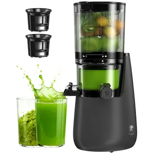 B12 Cold Press Juicer, 6" Extra Large Feed Chute Slow Masticating Juicer Machines, Powerful AC Brushless Motor, Self Precut System, Juicer Machines with BPA-Free, Extra one Replace juicer strainer