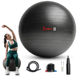 Sunny Health & Fitness Exercise Ball, Core Strength & Balance, Home Gym Workout Fitness, Anti-Burst 600 lbs, Anti-Slip Texture, 29.5 in, Air Pump Included