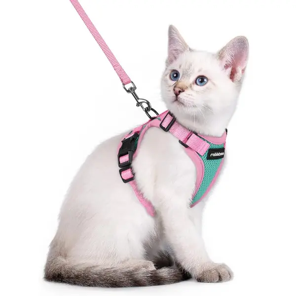 rabbitgoo Fusion Adjustable cat harness and leash set rabbitgoo Fusion Adjustable cat harness and leash set