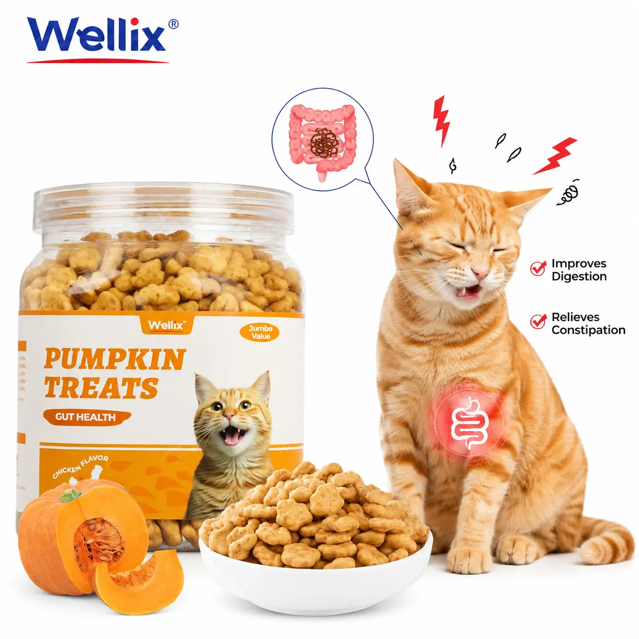 Wellix 13.05 oz Healthy Cat Treats with Pumpkin Powder & Chicken Flavor - Low Calorie, for Sensitive Stomachs, Digestion Aid, Constipation Help, Cat Food Topper (Suitable for Kittens)