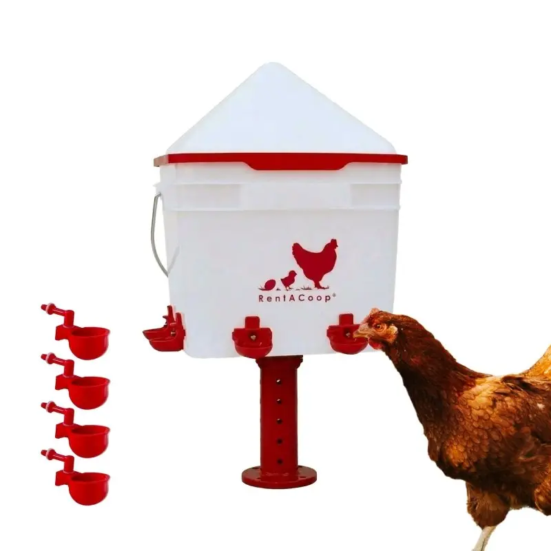 RentACoop 2 Gallon Chicken Waterer with 4 Cups and 4 Nipples - Corner Placement