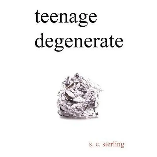 Teenage Degenerate: A Memoir that Explores the Depths of Methamphetamine and Drug Addiction -- S. C. Sterling, Paperback