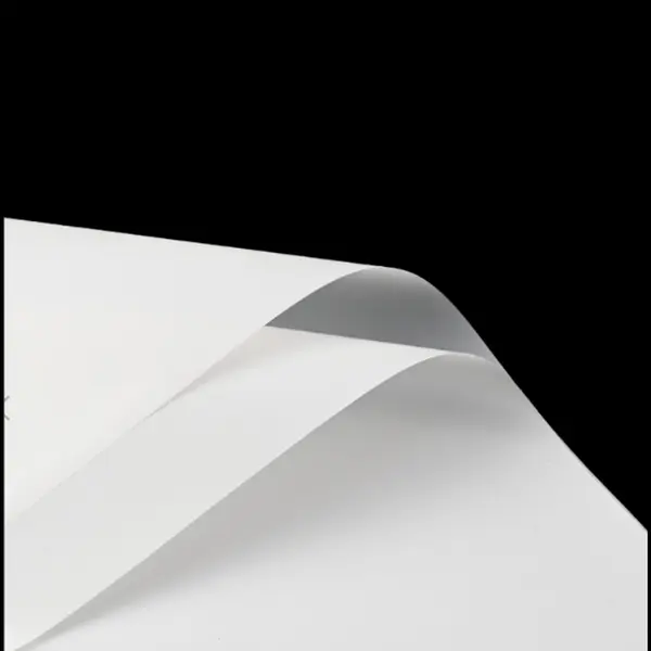 White Transparent Minimalist Bouquet Wrapping Paper