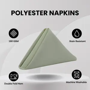 20 Inch Polyester Cloth Napkins Sage (Pack of 10)