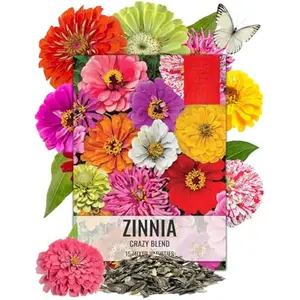 Zinnia Seeds 15+ Varieties Specialty Crazy Blend | 1,000+ Seeds Zinnia Open Pollinated | Includes California Giants, Candystripe & State Fair Species | Bulk
