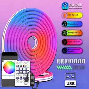 5V RGB full-color flexible neon light with USB interface, Bluetooth APP, music and sound-controlled light strip for DIY design RGBIC LED Neon Light Strip, Remote and App Control, Decor Light for Home Party and Festival