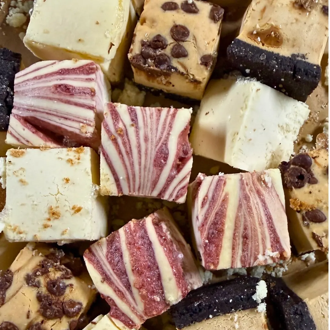 Freeze Dried CHEESECAKE BITES - Viral TikTok Snack - Halloween - Dessert - Variety Bag