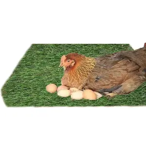 Chicken Nest Pad, Egg Catcher Mat, Washable Pet Pad, Small Animal Bedding, 1 Piece, Ideal for Chicken Coops and Pet Habitats