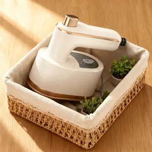 Don’t Miss Black Friday Mini 2-in-1 Steamer Iron 40W Fast Heat 50ml Water Tank Perfect Gift for Travelers Compact Design