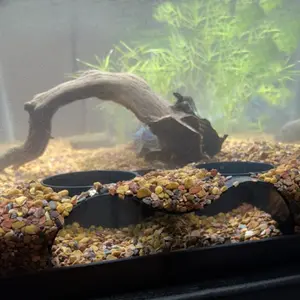 Bionic Aquarium Cave System with Dual Entrances for 20-100 Gallon Tanks, Non-Toxic Resin Hiding Place for Fish and Shrimp, Modular Eco-Scaping Solution