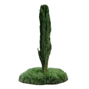Sky Pencil Holly – Live Plant – Quart Pot – 6-12" Tall – Japanese Holly Tree – Perfect for Planting – No Ship to AK, HI & P.R.